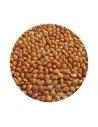 Semilla de Mijo rojo JARAD 1 kg